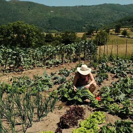 Hotel Piornedo Hotel