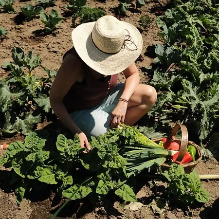 Hotel Piornedo 2* Piornedo