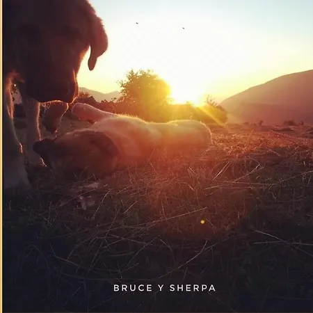 Hotel Piornedo Hotel