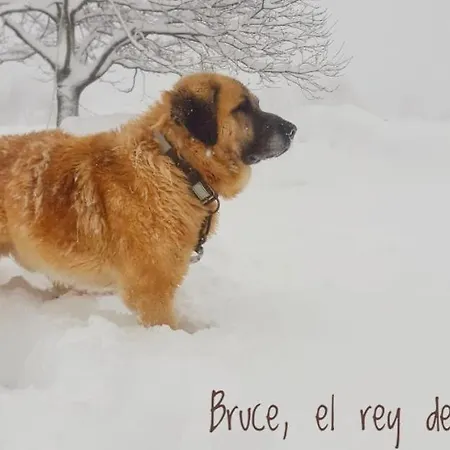 Hotel Piornedo Hotel Piornedo