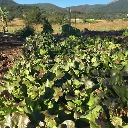 Hotel Piornedo Hotel