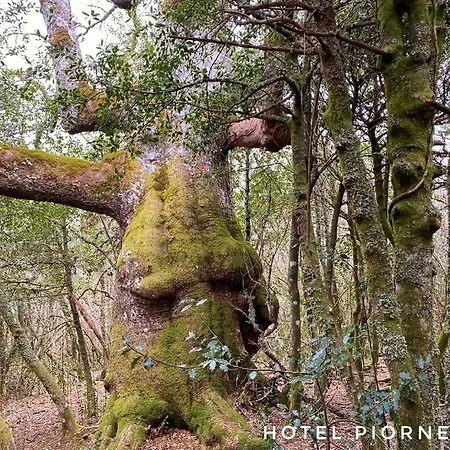 Hotel Piornedo Hotel