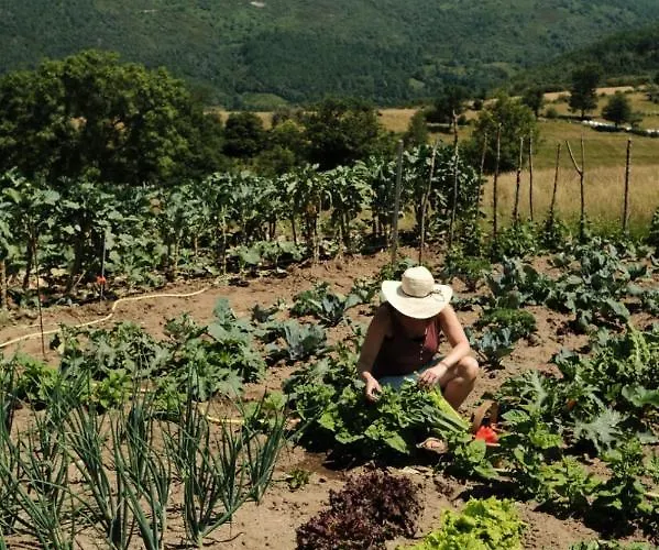 Hotel Piornedo Hotell