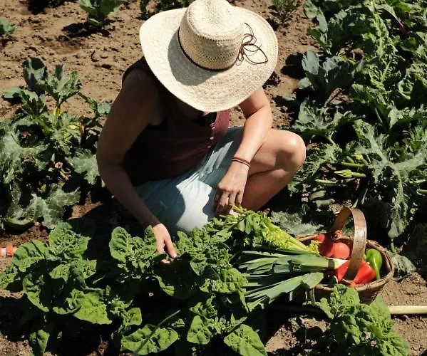 Hotel Piornedo 2* Piornedo