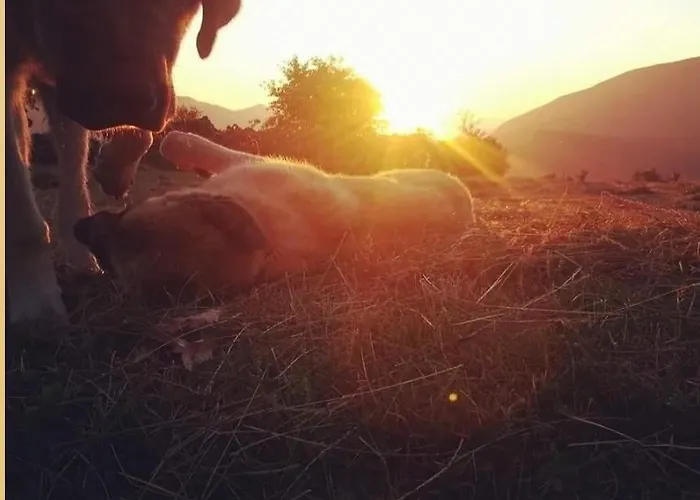 Hotel Piornedo Hotell