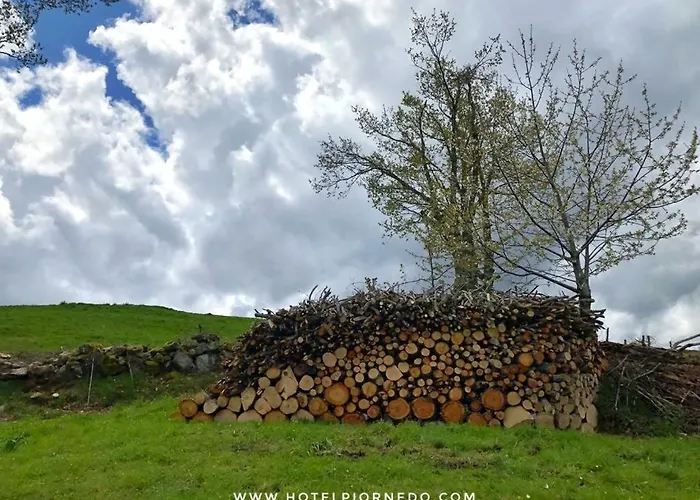 Hotel Piornedo Hotell 2*