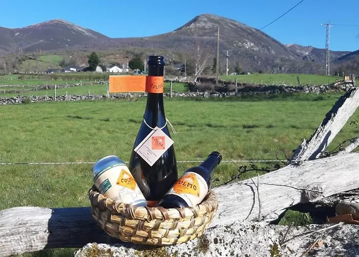 Hotel Piornedo Hotell