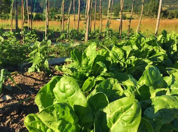 Hotel Piornedo Hotell Piornedo