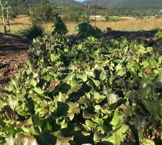 Hotel Piornedo Hotell