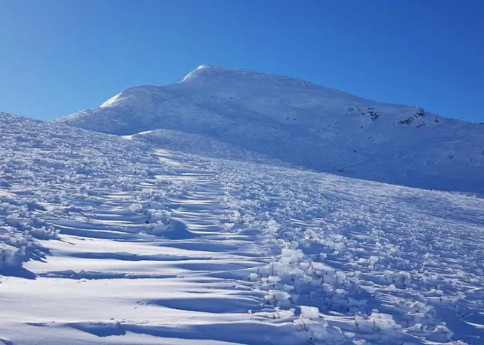 Hotell Hotel Piornedo 2*